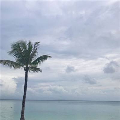 战斗吧剑灵手游韩服版下载